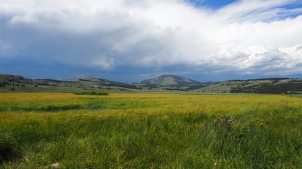 Beyond rugged landscapes, the Land and Water Conservation Fund carves out funding to protect American grasslands, ranches and grazing lands.