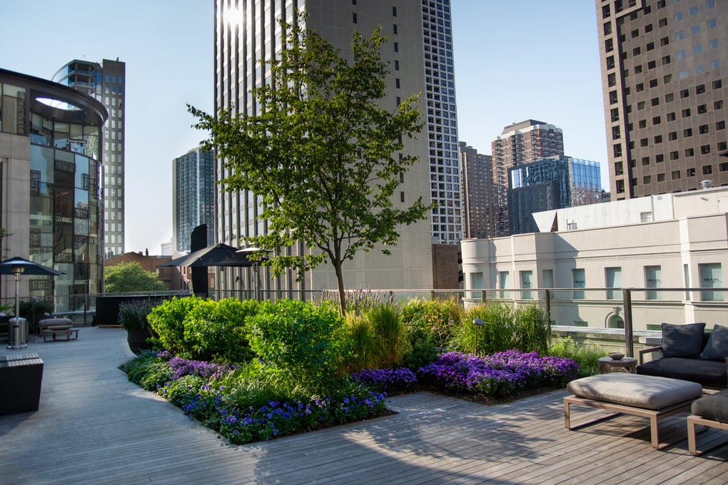 Suitsupply chicago roof garden by Ecogardens