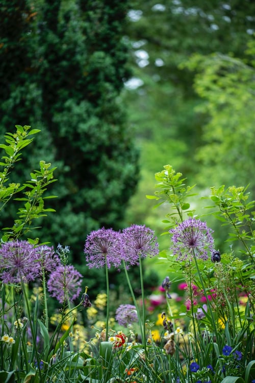 Creating Urban Spaces in Step with Nature: An Introduction to Ecogardens | With three decades of experience designing urban green space and protecting rural areas, Ecogardens has much to offer.