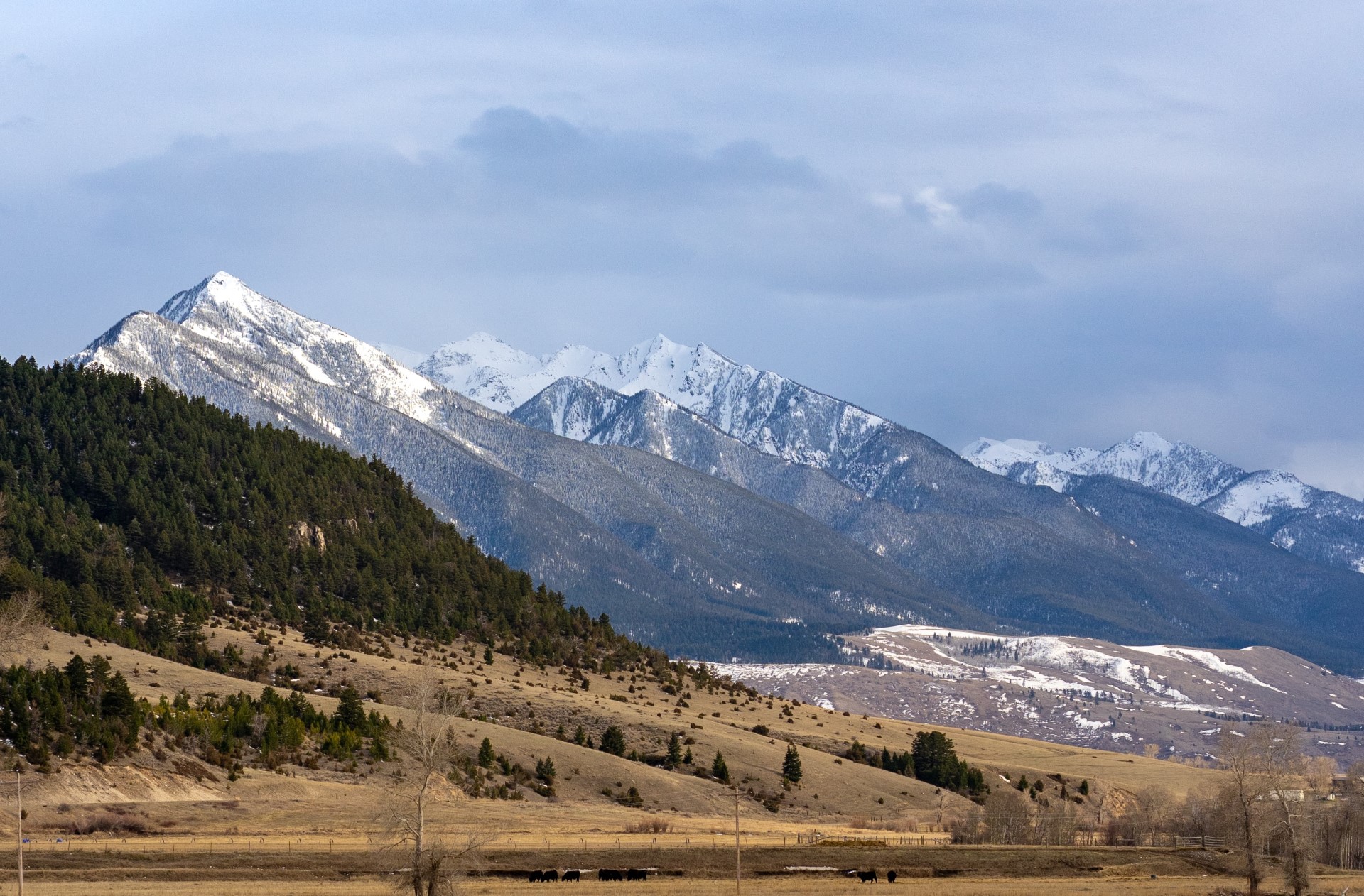 SPOTLIGHT on the American Prairie Reserve: Building a New Kind of National Park in Cattle Country | National parks are going private, but is that a good thing?