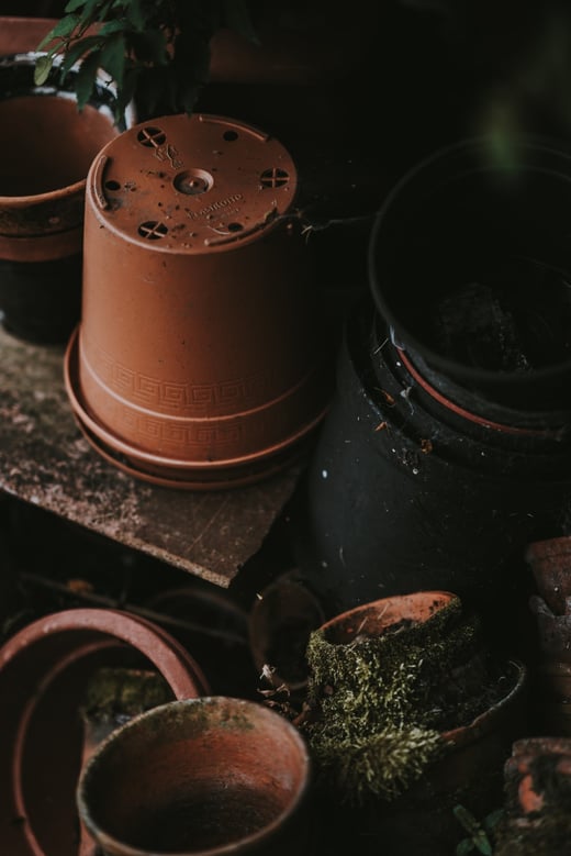 How to Make Biodegradable Pots Work for Green Roofing | While many alternative pots post problems of their own, there are a few companies doing it right.