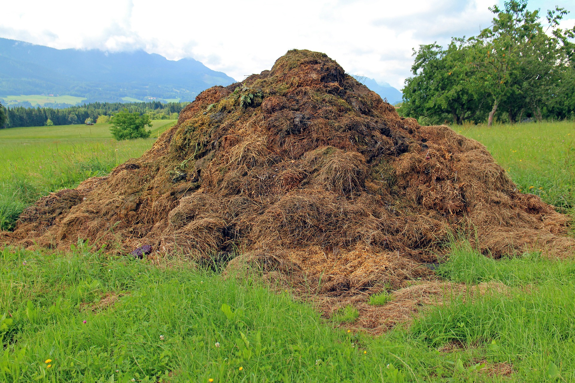 Composting Alternatives If Your City Doesn’t Offer Municipal Pickup | Composting is the environmental thing to do, but not everyone has a city composting program.