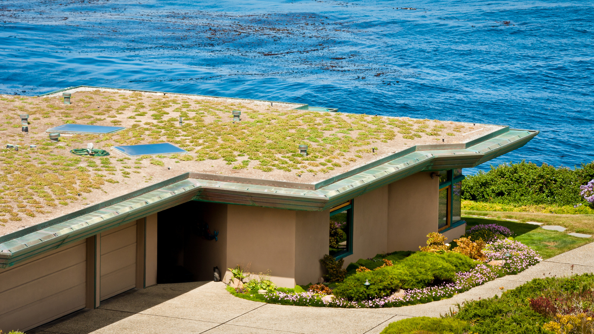 Do You Need Custom Media for a Green Roof? | Green roof media is important, but you might not have to get it custom made.