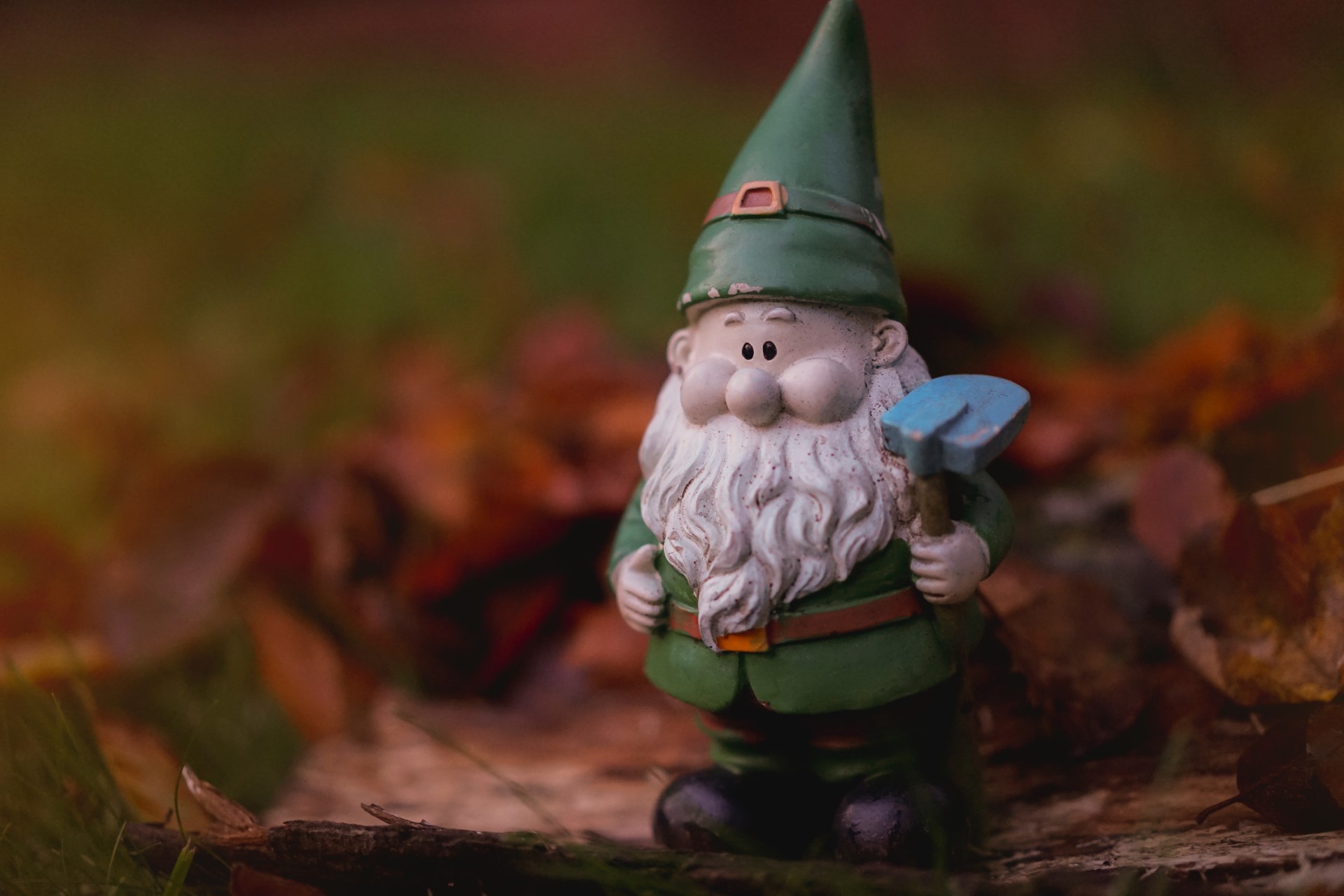 The Invasive Species You Didn’t Know You Needed to Worry About: Gnomes are a bigger deal than you might think, so put down your weeding fork and pull out that hoe to get rid of this pesky pest.