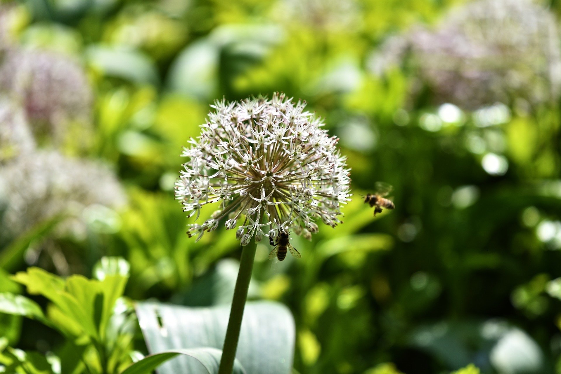 What to Know About Green Versus Gray Infrastructure | Understanding the difference between green versus grey infrastructure can help you make the best possible choices for managing stormwater on your property or place of business.