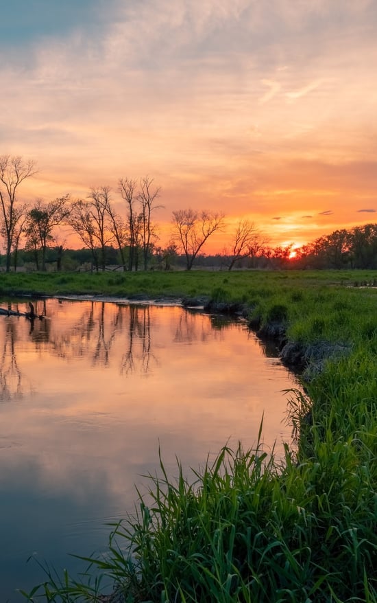 The Incredible Power of Green Infrastructure and Why It Matters | Wetlands are among the most powerful stormwater management tools nature offers.