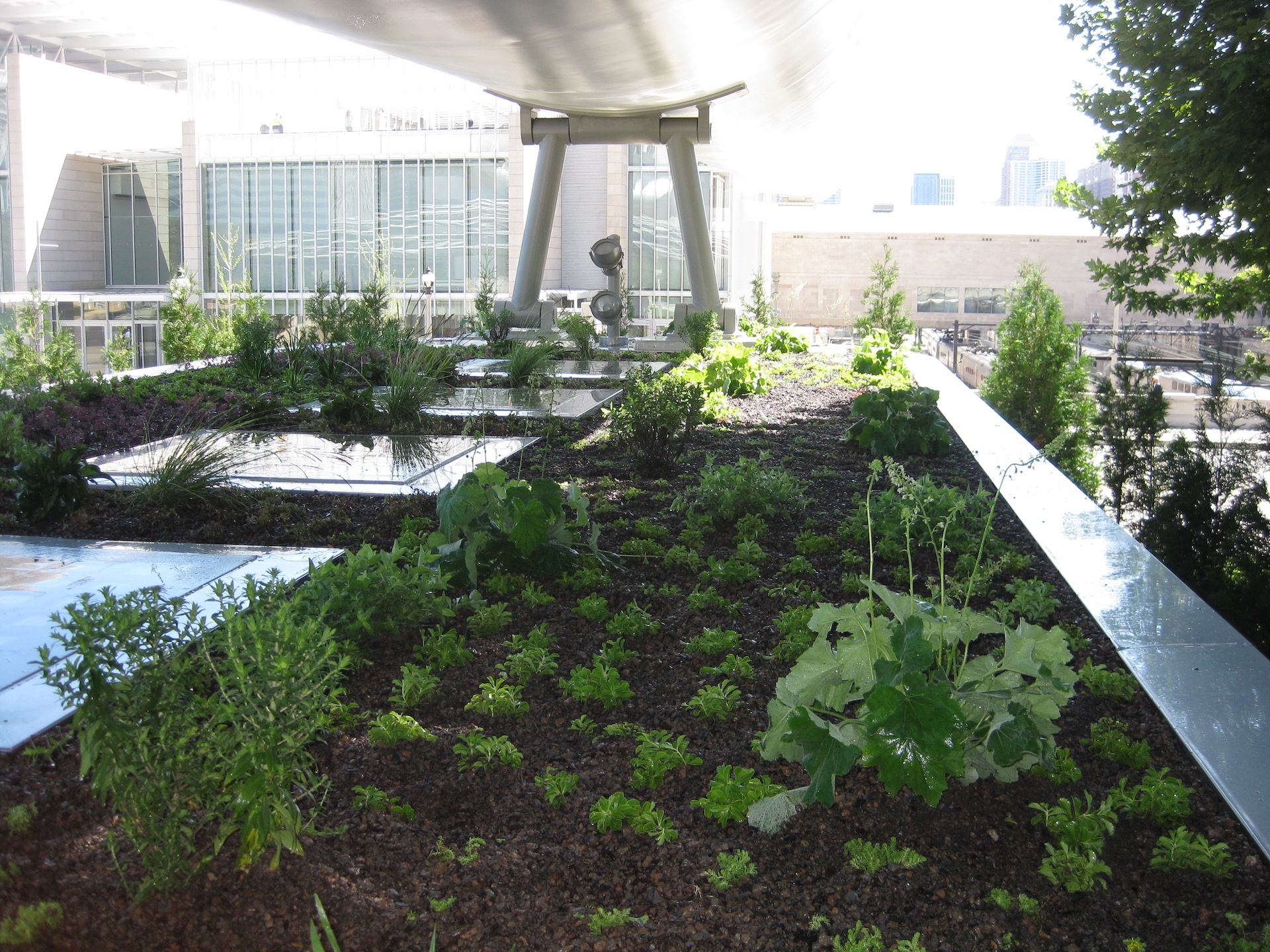 Form Versus Function: Struggling for Balance in Green Roof Aesthetics | Too many people see green roofs as a battle of beautiful vs functional, but is that the case?