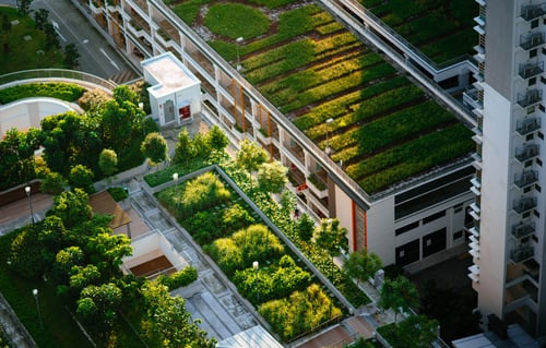 What You Need to Know About Green Roofs and the Environment | A green roof is more than a few containers on top of a building; it’s a complex system of interconnected elements.