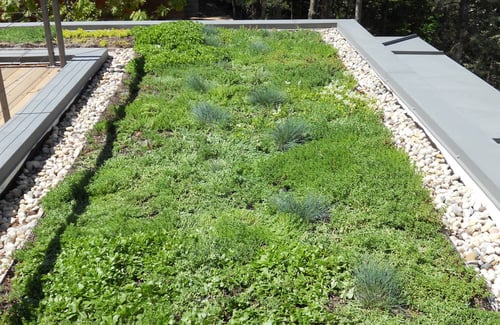 What You Need to Know About Green Roofs and the Environment | If you’re ready to do the environment a solid and get more green roofs in your life, let’s start now.