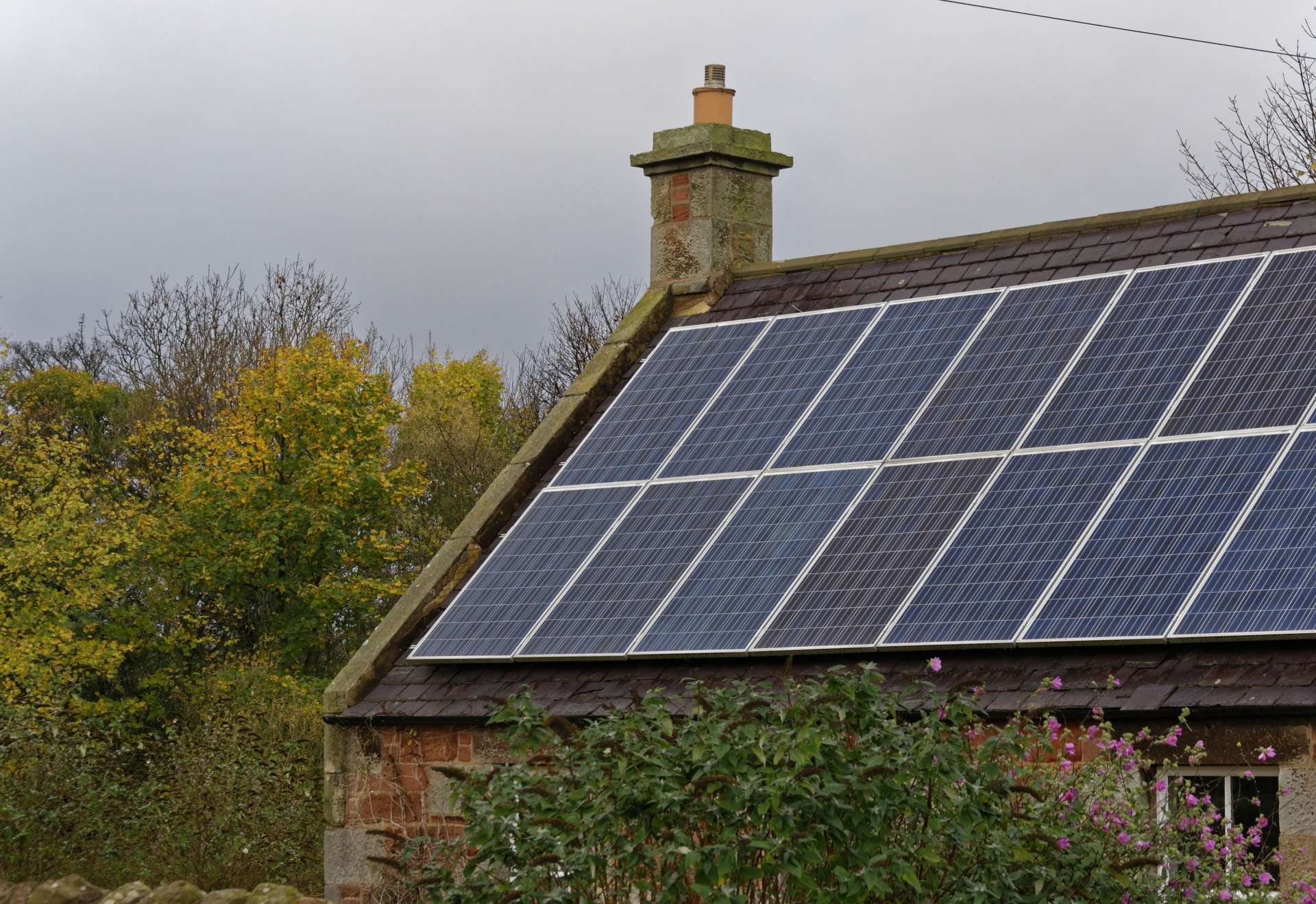 What Is Green Roof Technology and How Does It Work? | Understanding what green roof technology is comprises the first step toward using it to the greatest effect.