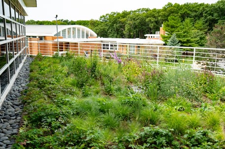 Primarily, green roofs can be a great source of fresh air when an employee is feeling overwhelmed or having a particularly poor day. 