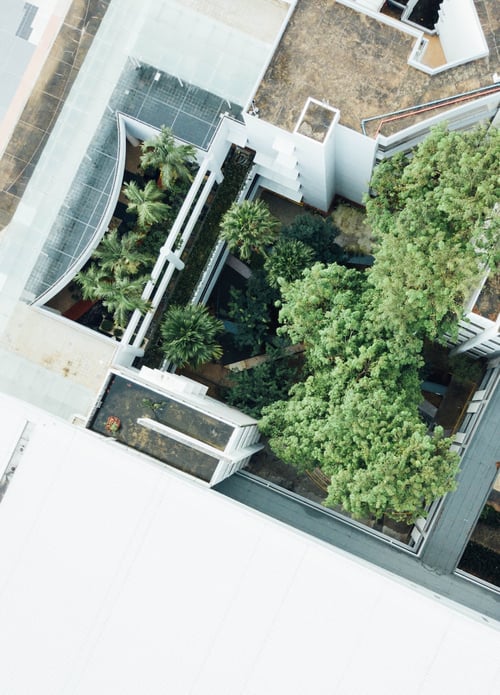 Green Roofs and Stewardship: Why One Can’t Live Without the Other | Confusing maintenance with stewardship is a death knell for many green roofs.