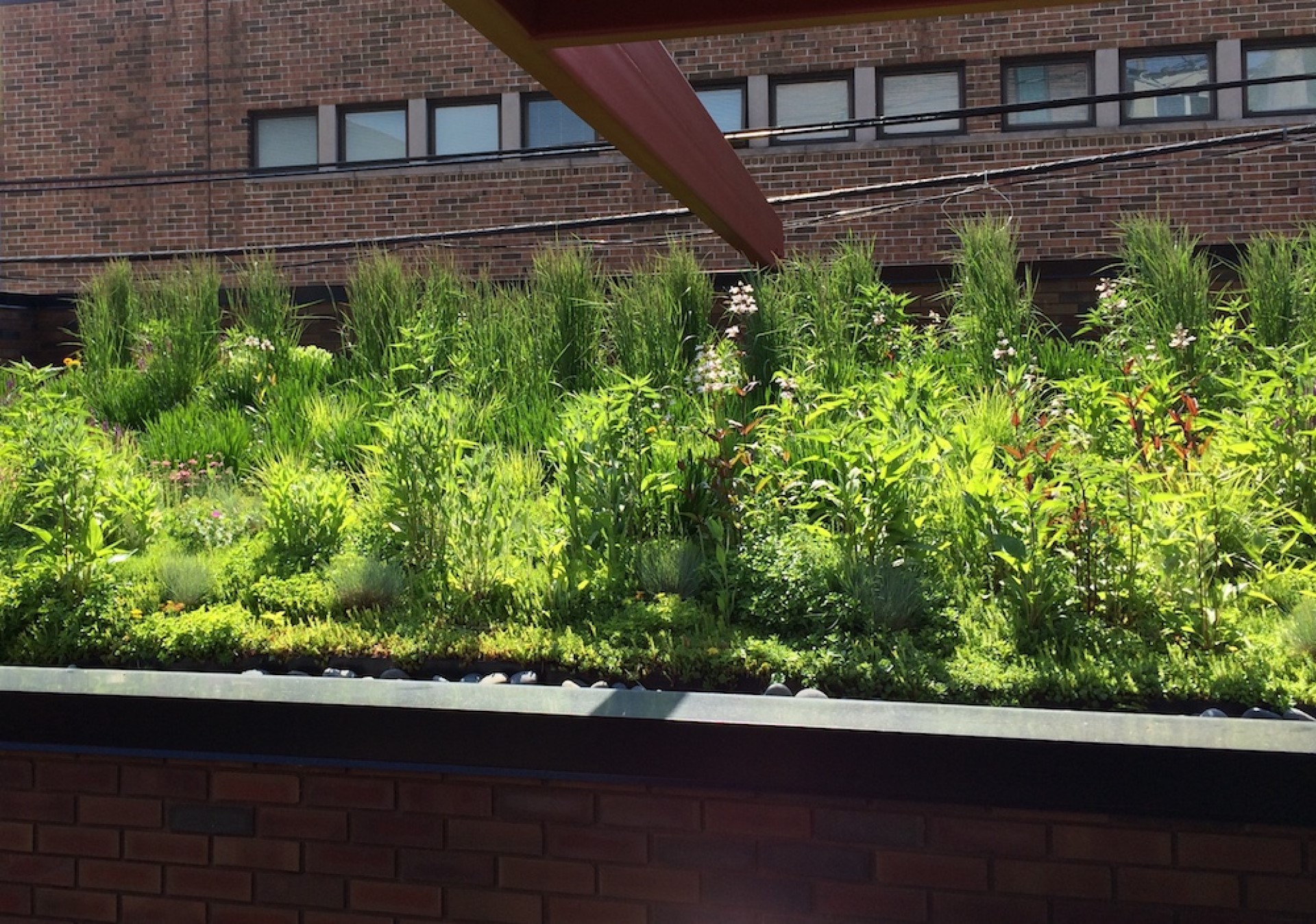 What Are the Layers of a Green Roof? | Green roofs are very efficient systems that rely on careful combinations of engineered components to work effectively.
