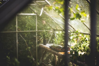 What Are the Layers of a Green Roof? | Plants are the crowning glory of any green roof, but they can only live happily once all the other layers are in place.