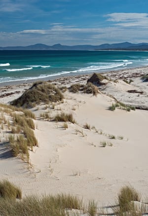 Shorelines Shorelines