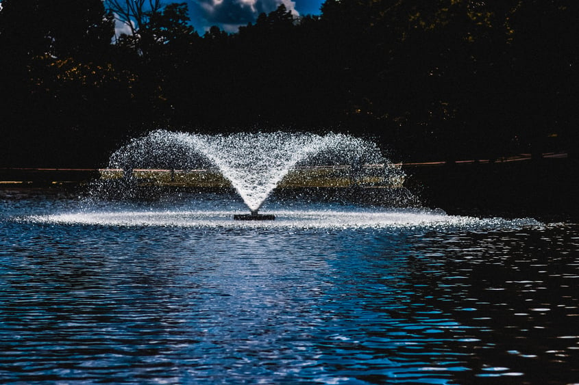 A fountain in the center of a pond can be an eye-catching design feature, but it can also be lonely.