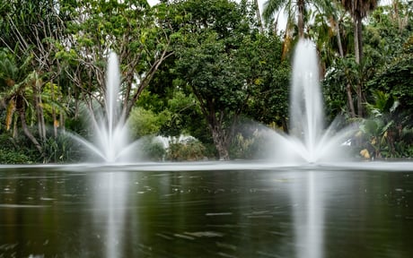 Fountains in an urban pond are more than just beautiful. Together with floating wetlands, fountains also keep ponds functioning and healthy.
