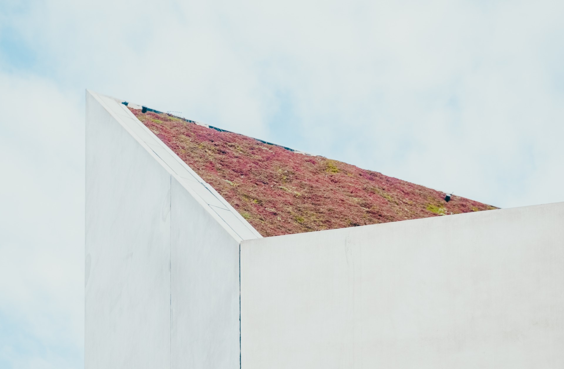 3 Financial Benefits of Maintaining a Green Roof | If you fail to maintain your green roof, you can’t hope to reap the promised financial benefits.