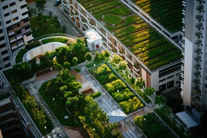It’s best to work with someone with experience in the stewardship of green roofs to determine the best course of action to keep your green roof thriving.