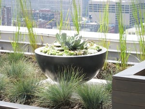 How to Make Your Green Roof Pay | You can always turn your green roof into a revenue-generating space.