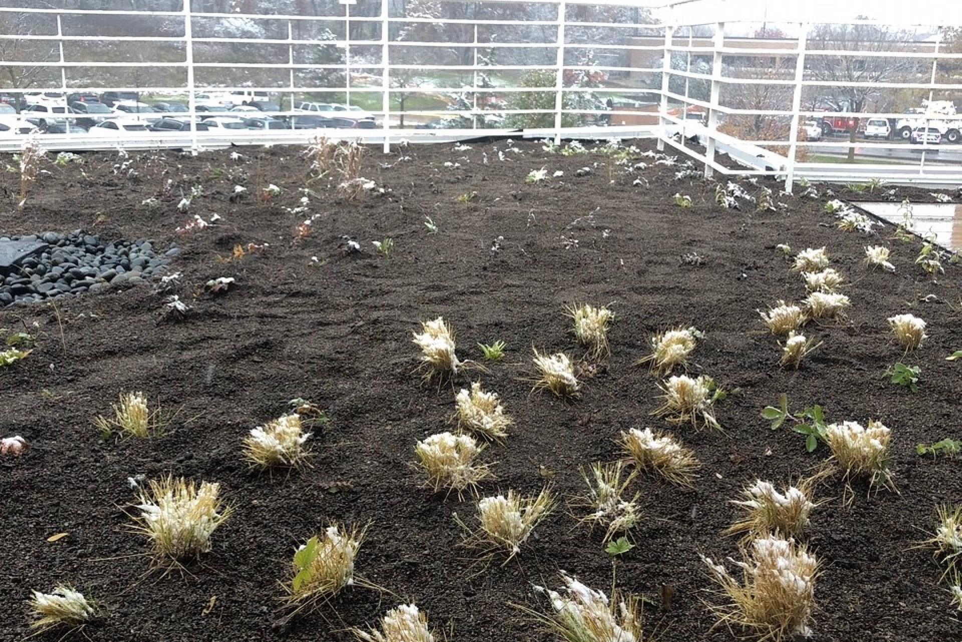 Village of Orland Park Gets a New Green Roof … and a New Outlook | Ecogardens teamed up with the Village of Orland Park to create an awesome green roof.