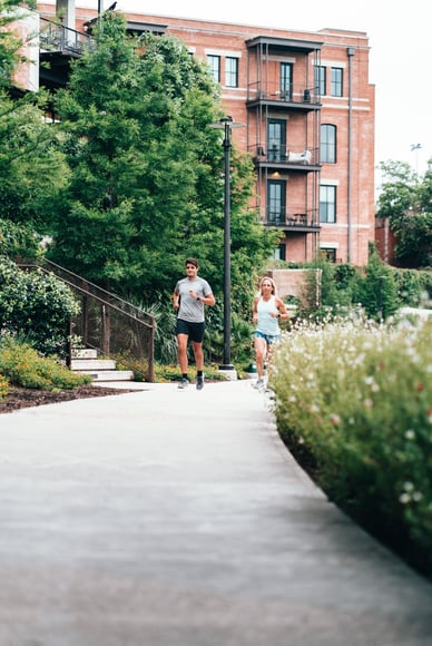 How to Increase Pollinator Diversity in Urban Areas | It’s our responsibility to address these concerns by taking steps to increase the number and variety of pollinators.