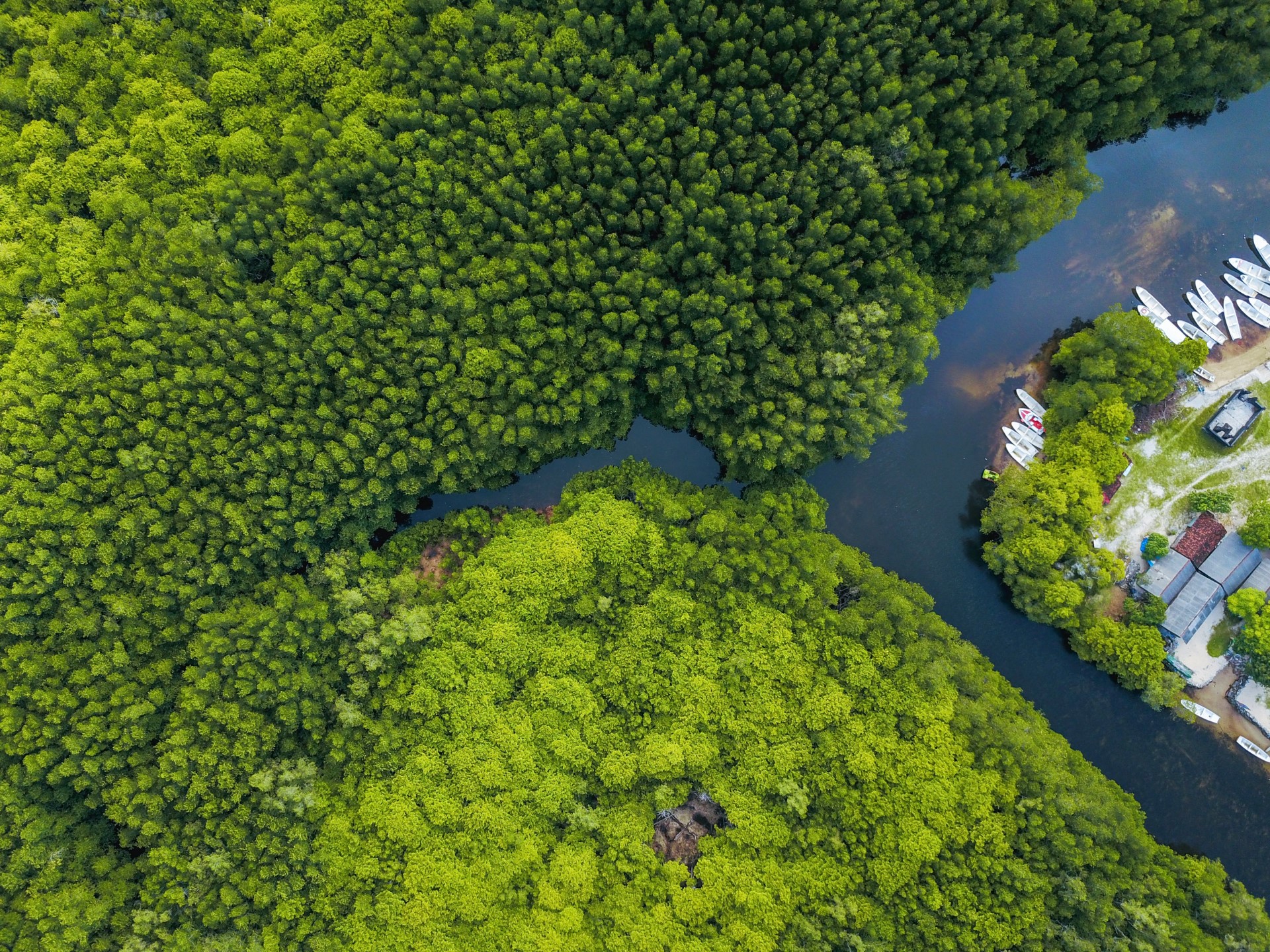 How to Bridge the Gap Between Resilience and Sustainability | Creating resilient and sustainable systems might seem like different propositions, but in fact they should go hand in hand.