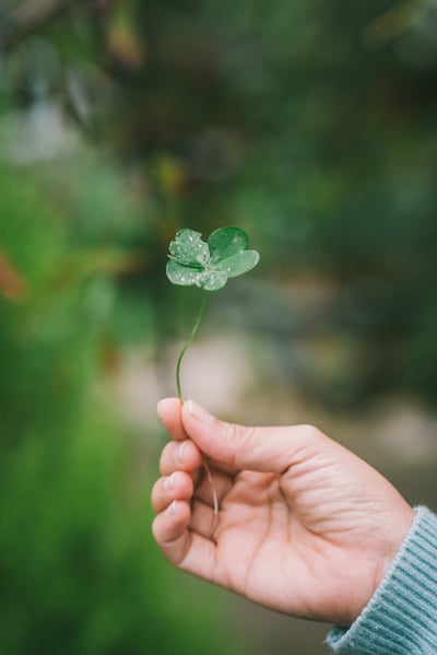 How to Bridge the Gap Between Resilience and Sustainability | Sustainability and resiliency actually mean different things, but properly understand, should lead to the same ends.