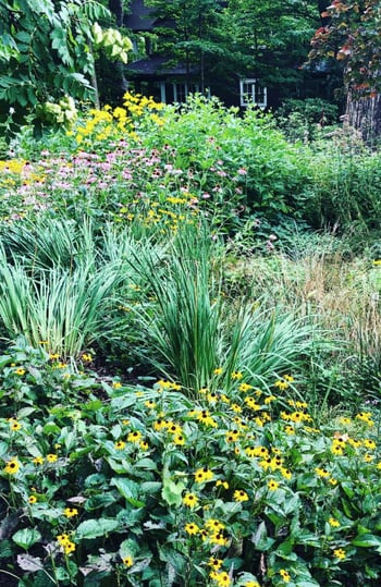 How to Choose the Right Locations for Planting Natives | We should use native plants in many areas, not just in gardens.