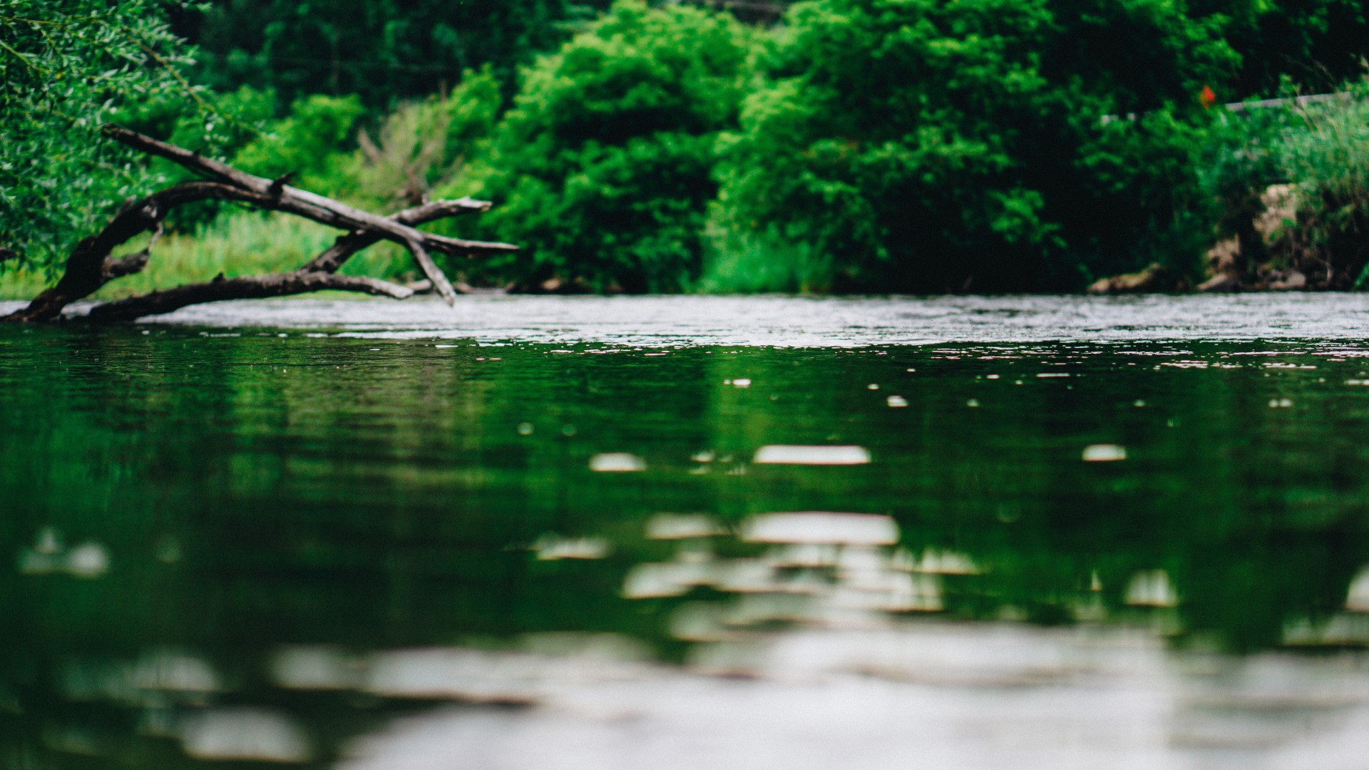 What Is Smart Irrigation and Who's Getting It Right? | Water is an extremely precious resource, and will only become more so in this century.