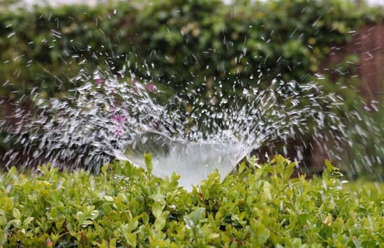 What Is Smart Irrigation and Who's Getting It Right? | Smart irrigation is an approach to watering plants that adjusts automatically with climatic conditions.