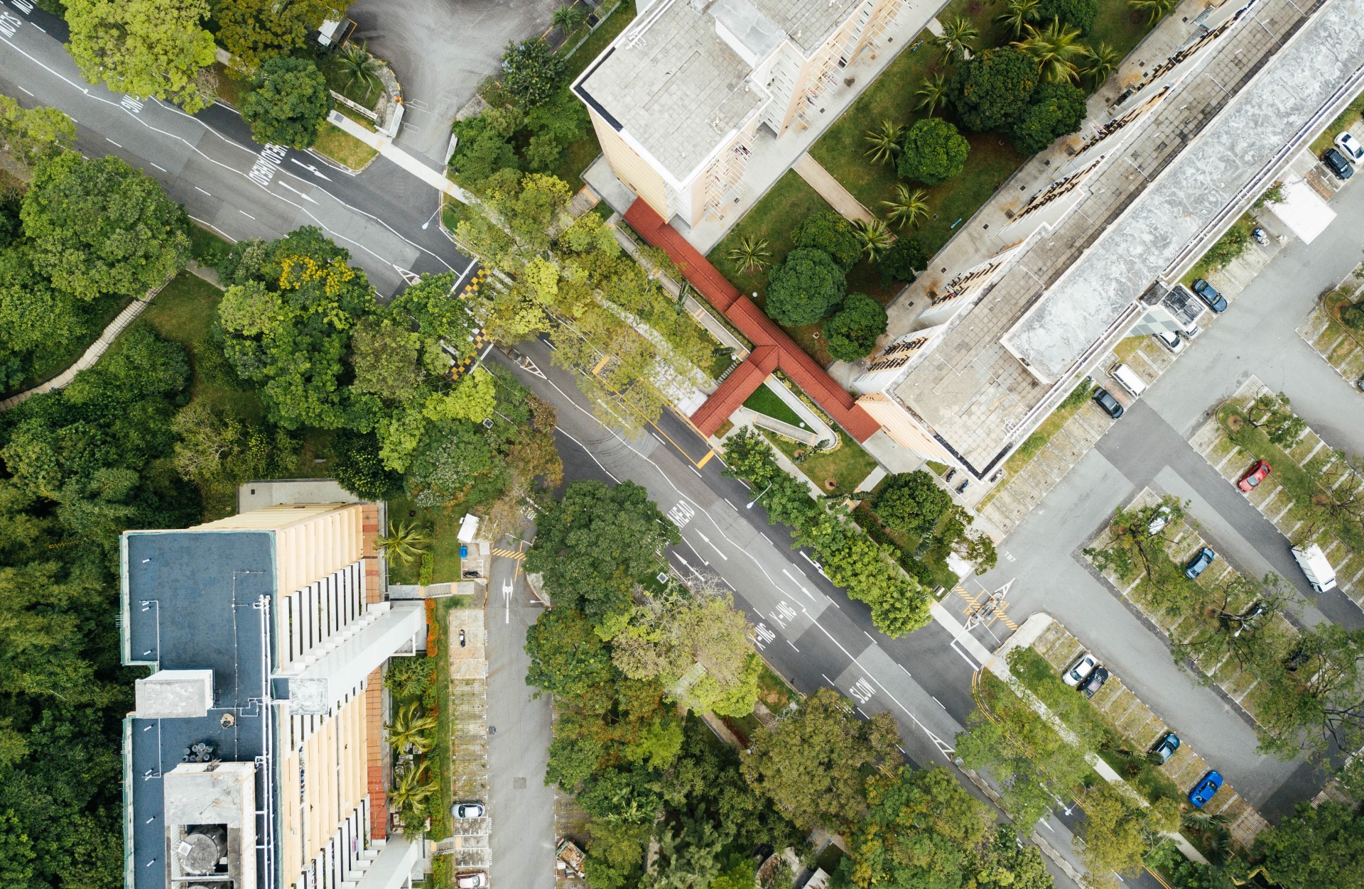 How Does Regular Stewardship Impact Public Health? | Green roofs offer many benefits to human health when properly cared for.