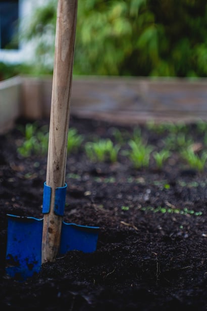 Everything You Need to Know About Stewardship | In terms of green infrastructure, “to steward” means to guard the health and effectiveness of green infrastructure.