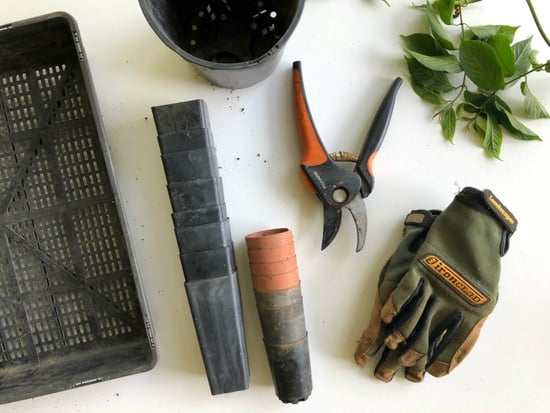 Everything You Need to Know About Stewardship | Stewardship matters because without it, the best design and most careful installation in the world won’t mean much for organisms and environment in the end.