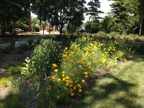 How to Use Stormwater Management Best Practices | Some very smart people are busy developing some very good approaches to stormwater management.