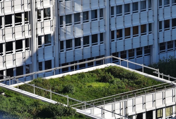 How to Choose the Best Stormwater Solutions | Green roofs help detain and retain stormwater onsite, so that we can reduce the impact during peak runoff times.