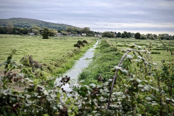 How to Support Land Conservation Efforts | Our land provides food and habitat to animals, pollinators and environmental scrubbers.