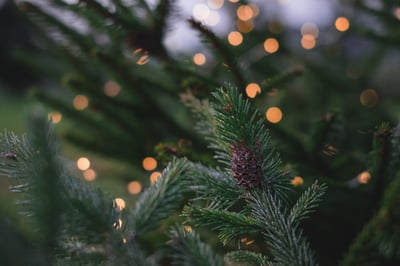 How to Make Outdoor Holiday Decorations More Sustainable | The first step in better holiday decorations is to stop using environmental polluters.