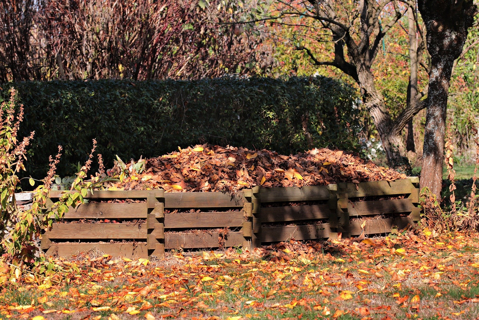 The Compost Story: Amazing Composting Benefits, According to the Stars | Composting is the real deal, so you should start a composting system today.