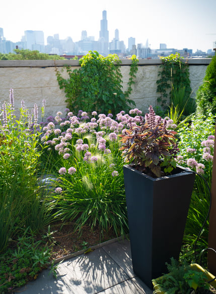 Tips on rooftop gardening for your home, by Humayoun