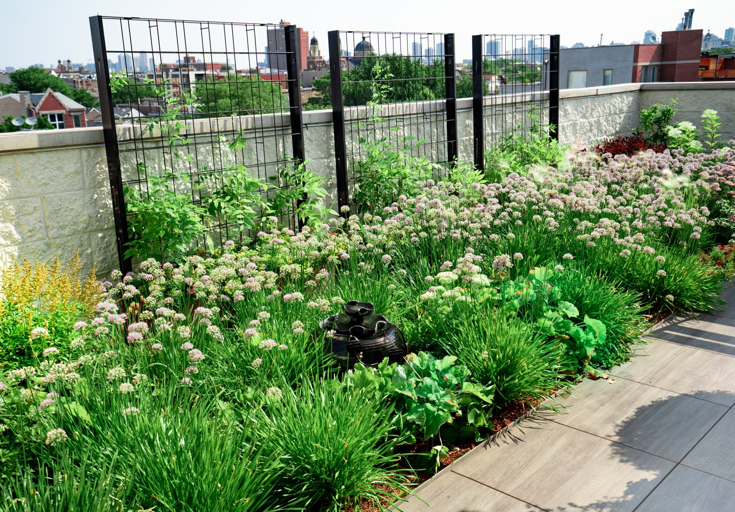 A well maintained irrigation system on your green roof will keep your plants thriving and your system healthy.