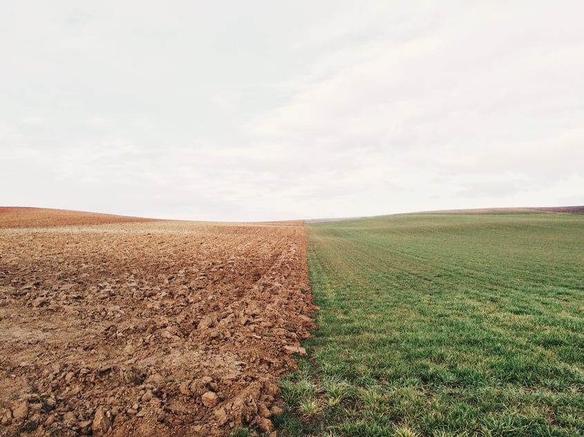 Water scarcity leads to deciding where freshwater resources are used best. In some cases, this means choosing to leave arable land fallow.