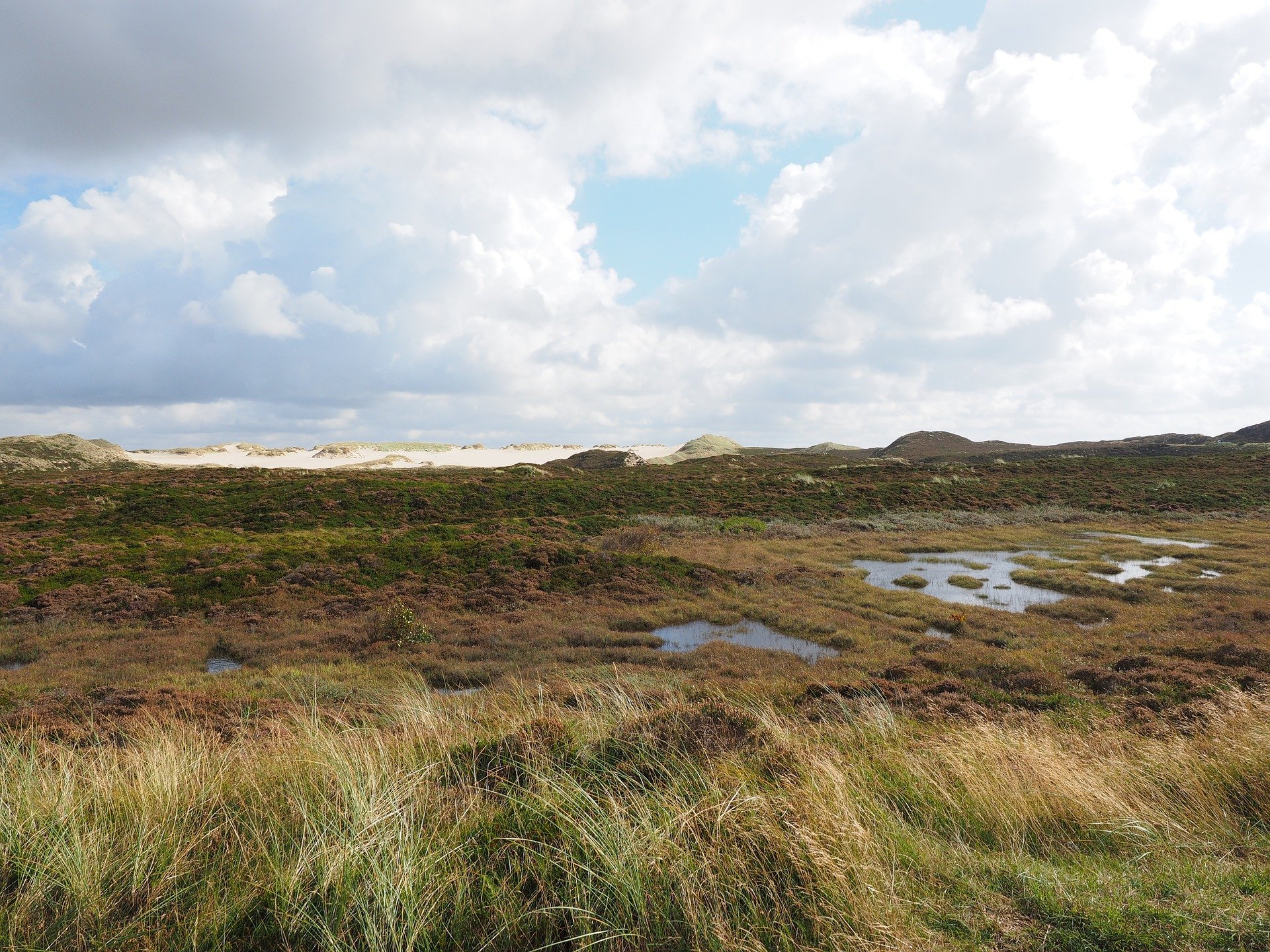 What Is Peat and Why Should We Protect It? | Peat is not a renewable resource, and we need to make sure it’s protected.