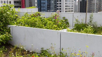 Who Is Involved in Building a Green Roof? | The most important person on any green roof project is the client.