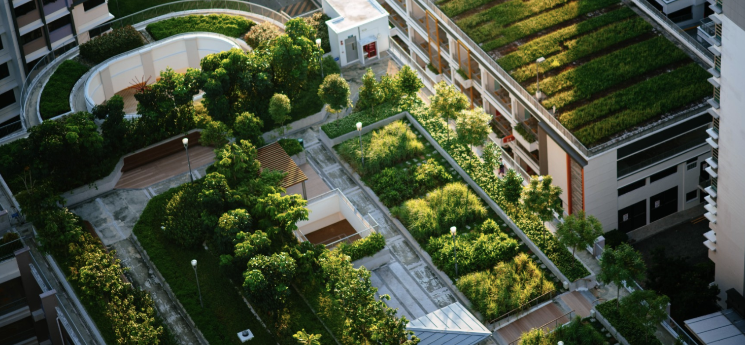 The Benefits of Incorporating Green Spaces into Urban Living: A Case for Green Roofs and Gardens