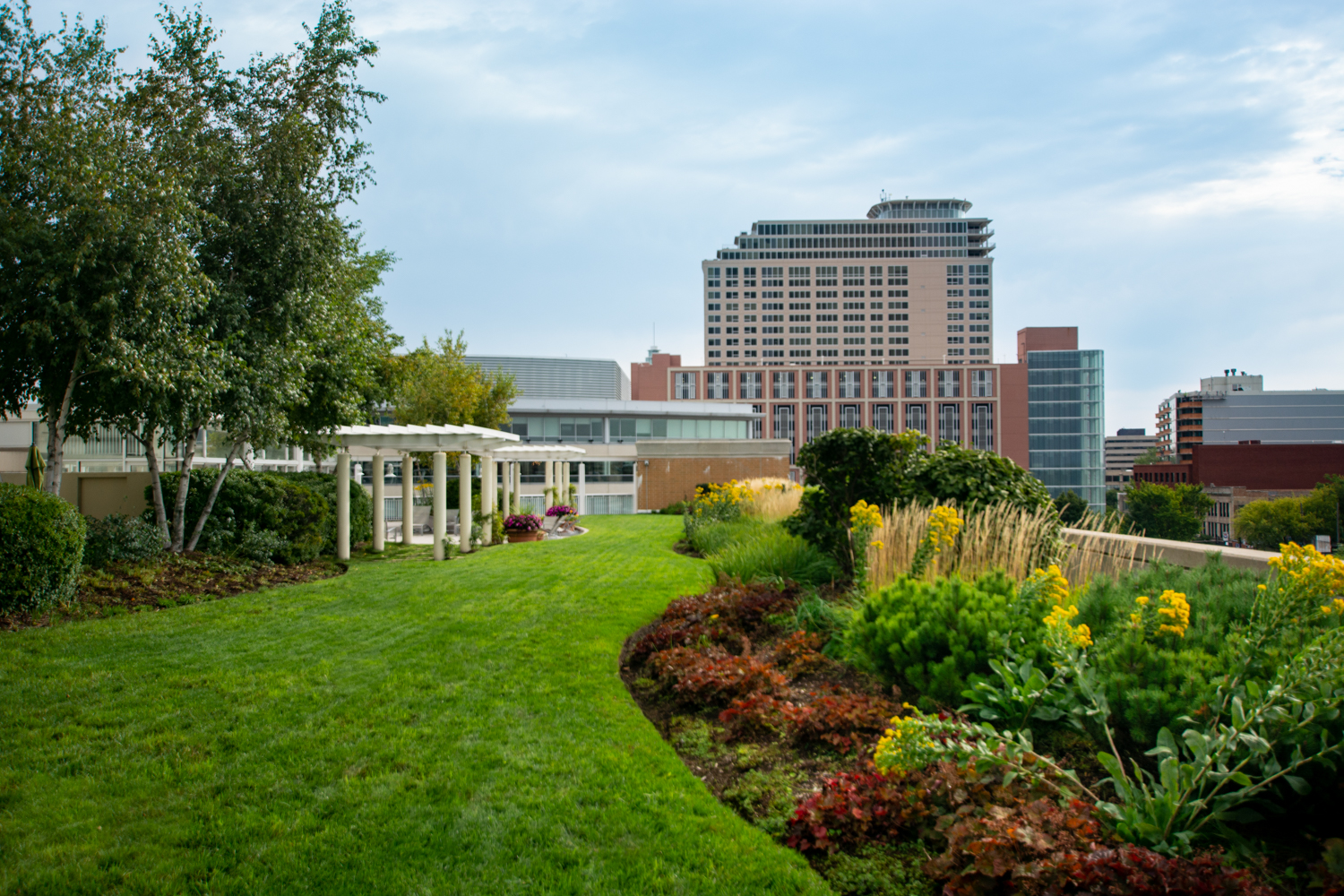 A Quick-Step Guide to Stewardship for Your Untended Green Roof