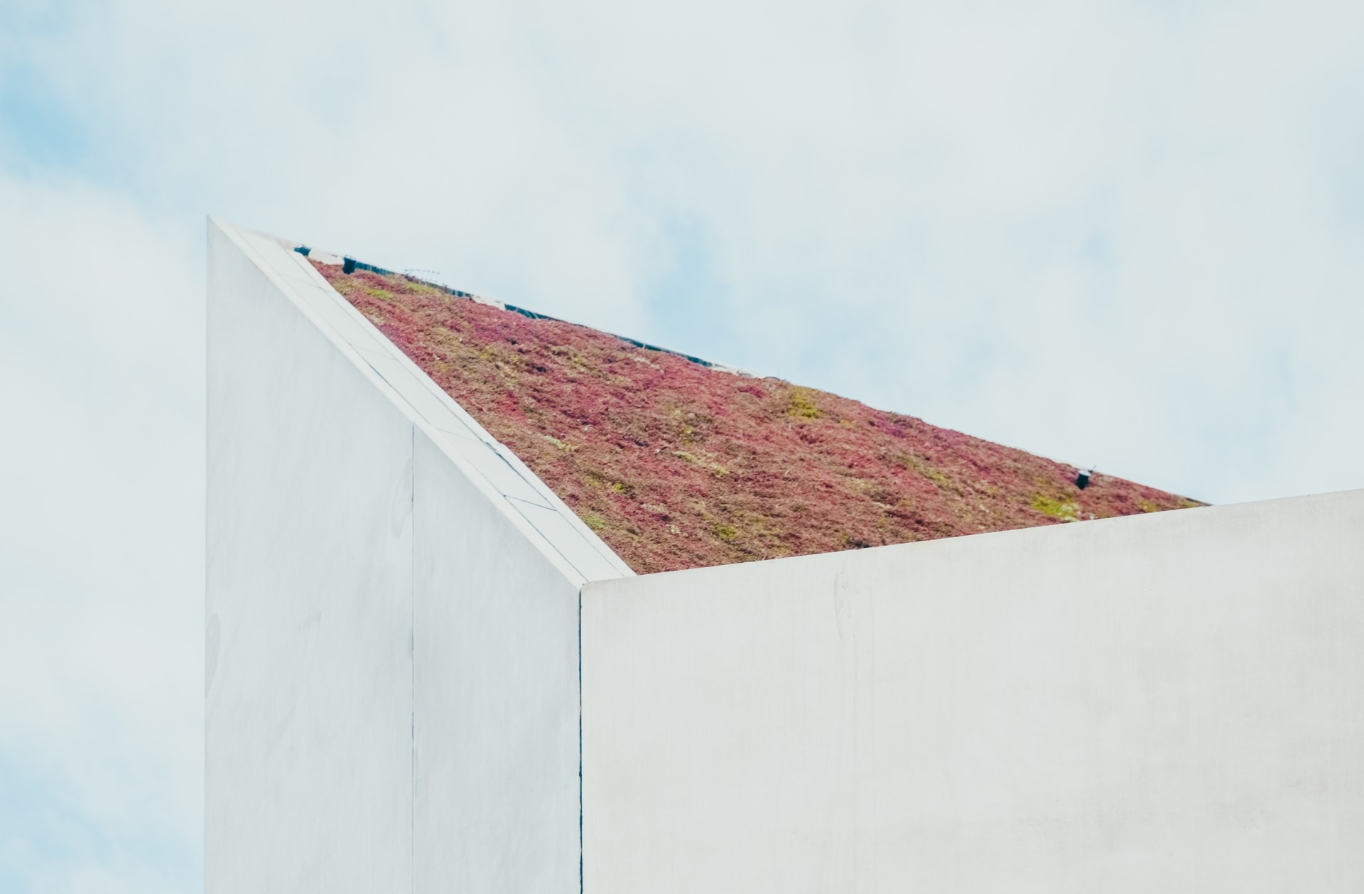 3 Financial Benefits of Maintaining a Green Roof