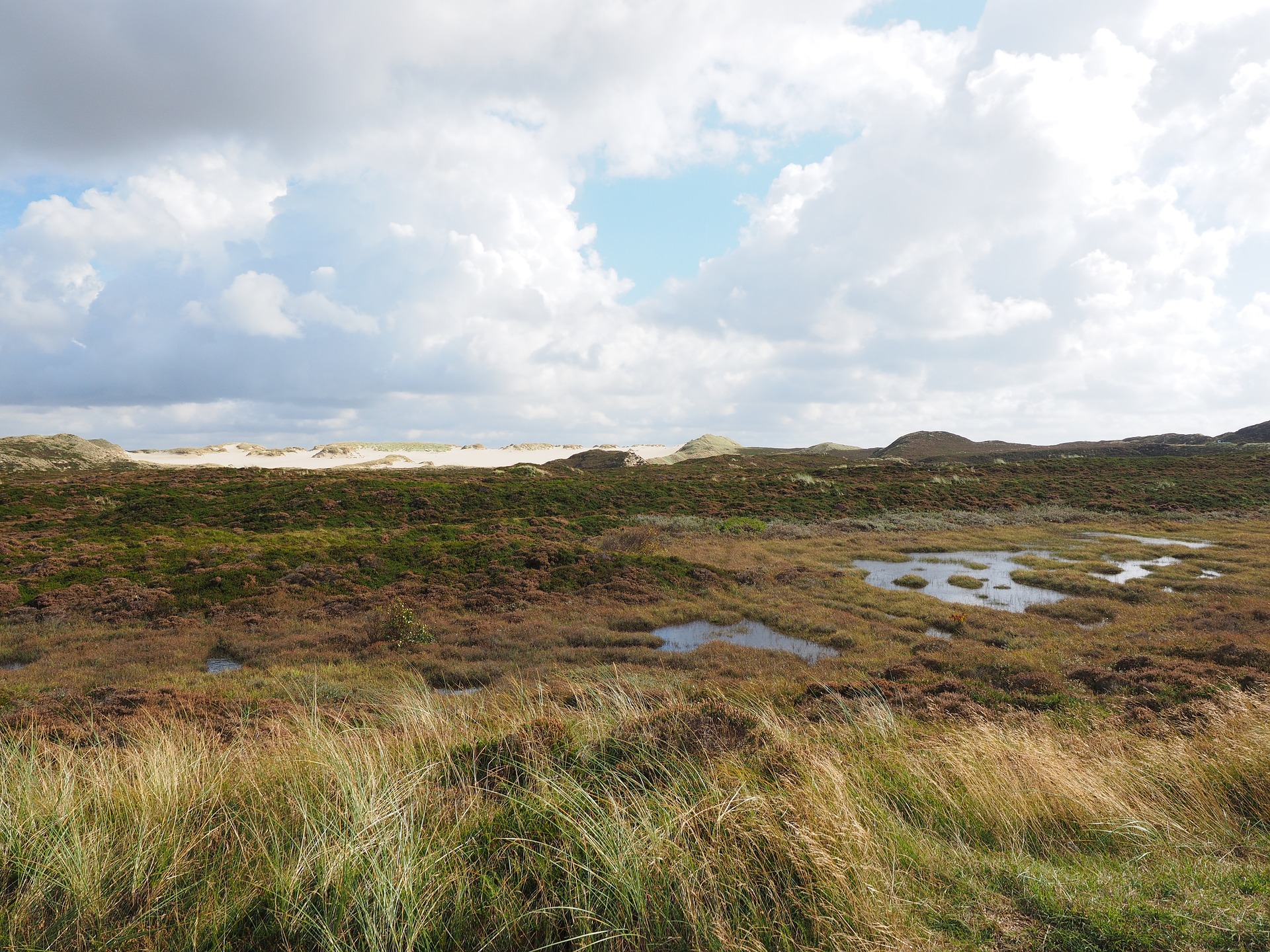 What Is Peat and Why Should We Protect It?